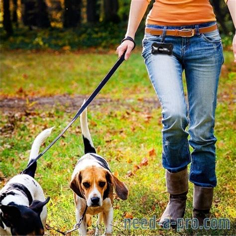 Dog Walker And Pet Sitter In South East London In London Dog Walkers
