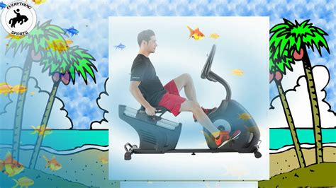 That might also be why the 270 is one of the most popular models out there. Schwinn Recumbent Bike - YouTube