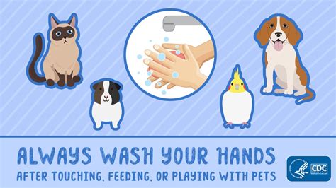 Hygiene Practices Around Animals Cdc