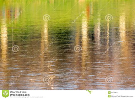 Abstract Autumn Trees Reflection In Water Stock Photo
