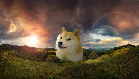 76 Doge Meme Wallpapers On Wallpaperplay Doge Doge Meme Japanese Dogs
