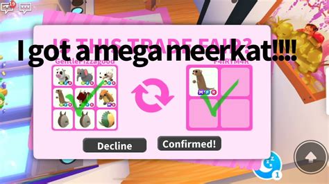 I Got A Mega Meerkat What People Trade For A Mega Meerkat In Roblox