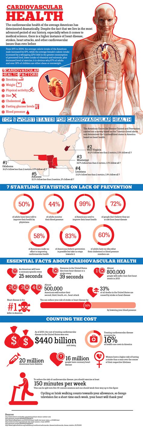 Cardiovascular Health Infographic
