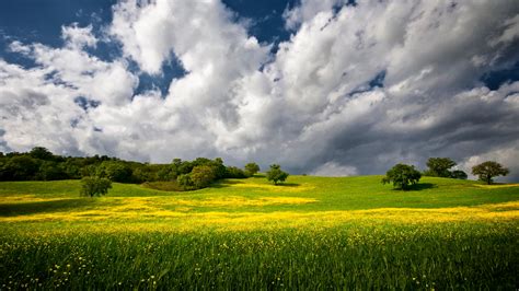Grass Field Sky Wallpaper Hd Nature K Wallpapers Images Photos Porn Sex Picture