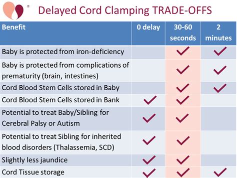What Is Delayed Cord Clamping