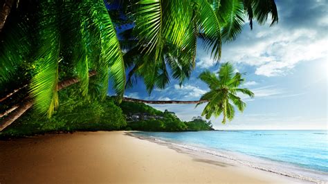 🔥 Download Tropical Beach Paradise 4k Ultra Hd Desktop Wallpaper