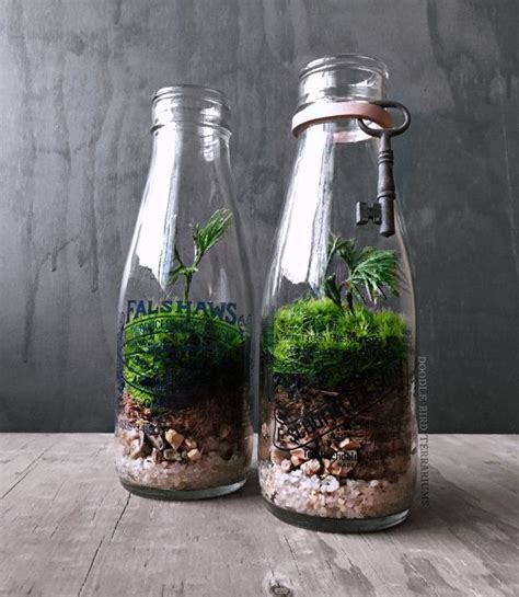 Find images of empty bottle. Beautiful Bottle Gardens That Will Make You Beam - Bored Art