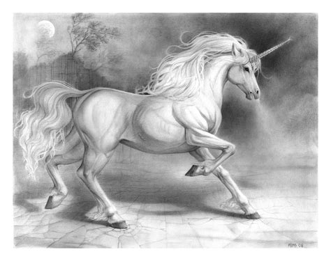 Easy To Draw Anime Unicorn Horses How To Draw Unicorns Step 8 Why