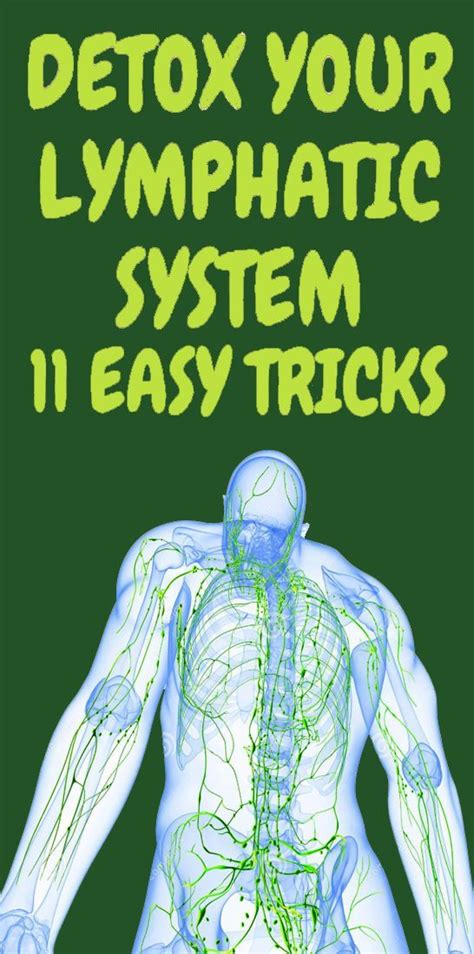 Natural Lymphatic System Detox Remedies To Help Your Body Detox Lymphatic System Lymphatic