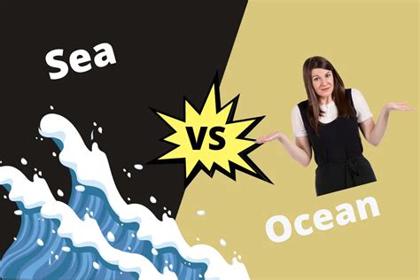 Difference Between Sea And Ocean Contrasthub