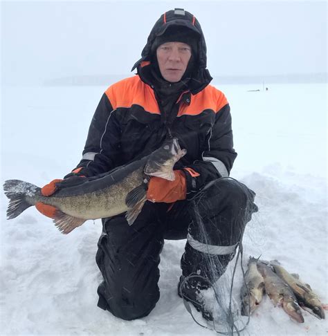 Kalastaja esittelee talvista kuhasaalistaan Pellon Miekojärvellä ...