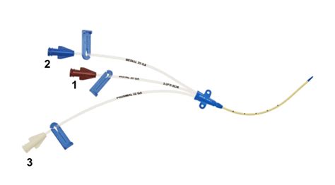 Central Venous Catheter Insertion Procedures Teachim