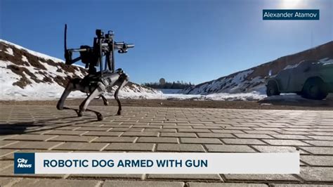 Nothing To See Here Move Along Robo Dog Outfitted With Machine Gun