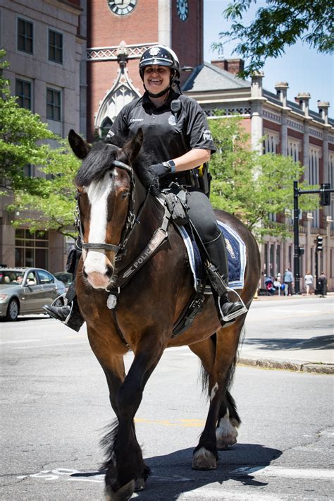 Getting to know Manchester's Mounted Police team