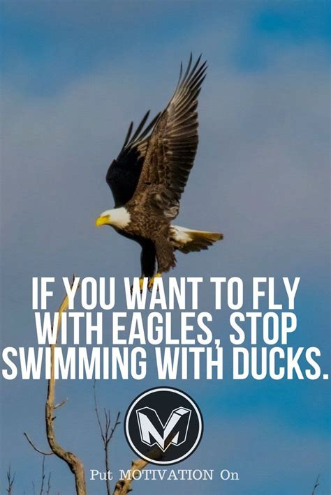 30 Inspirational Quotes Of Eagles Richi Quote