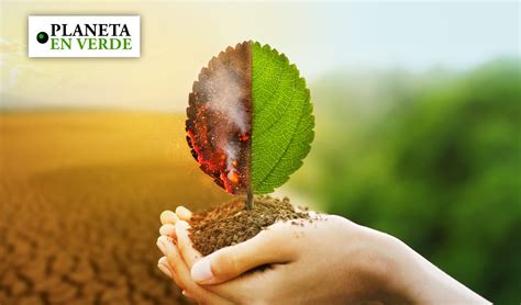 Tipos De Impacto Ambiental