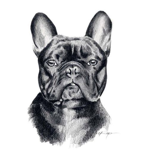 French Bulldog Dog Art Print By Artist Dj Rogers Etsy French
