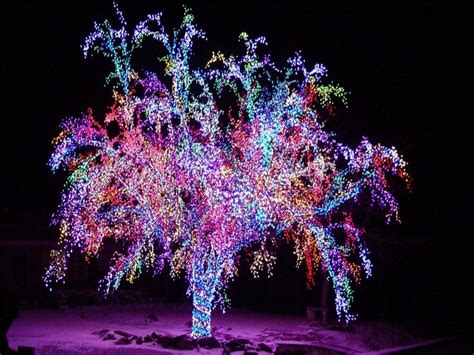 When i first put her on our tree, she gave the impression that she had too much of the christmas spirit. Fairy Lights Wallpapers - Wallpaper Cave