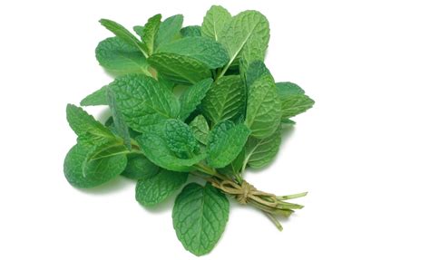 Simple Methods For Drying Mint Leaves To Store Them For