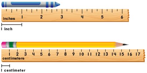 Measuring And Comparing Length Weight And Capacity Overview Common