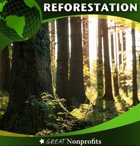 Celebrate Reforestation And The Preservation Of Trees In Honor Of