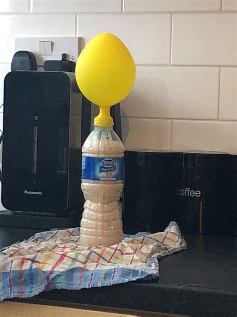 Yeast Balloon Ace Science