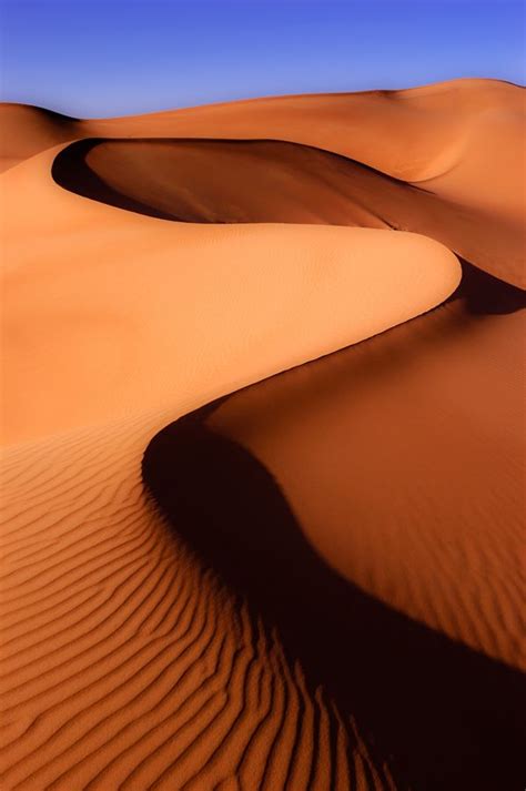 Desert Dream Desert Life Desert Sand Amazing Nature Beautiful World