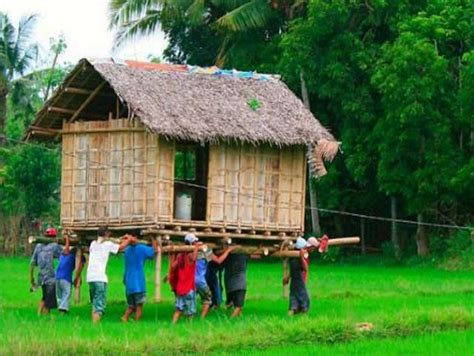 Ancient Bayanihan Tradition Of The Filipino People Villagers Move Your
