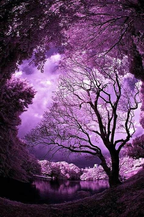 Pin By Mo On Paysages Purple Sky Beautiful Nature Nature Photography