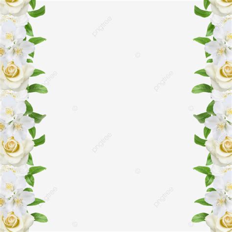 Frame Of New White Flowers Flower Backdrop Birthday Flowers Floral Arrangement Png And Vector