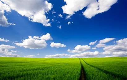 Field Background Fields Nature Sky Wallpup Campo