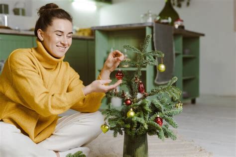 Construa Sua Própria árvore De Natal Caseira