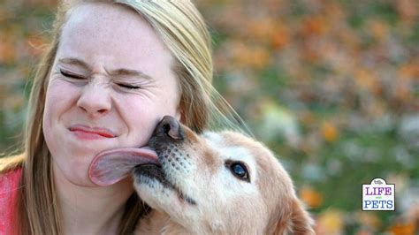 Why Does My Dog Breath Smell So Bad
