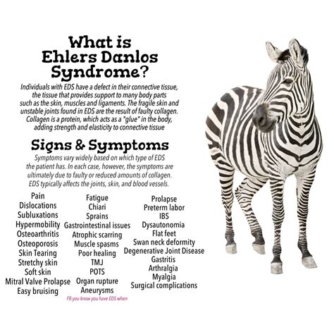 What Is Ehlers Danlos Syndrome My Health Maven