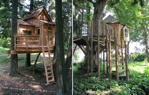 Los niños podrán disfrutar de su propia casa de árbol