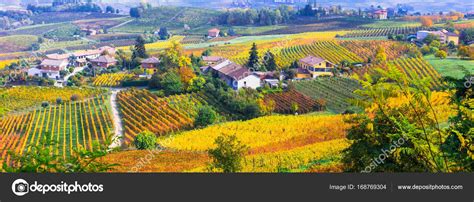 Pictorial Countryside And Beautiful Vineyards Of Piemonte In Autumn