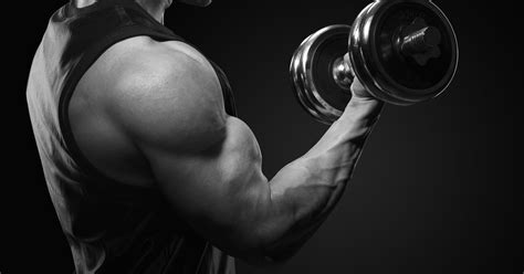 Vežbe Za Biceps I Rame Na Istom Treningu Bojan Avramović