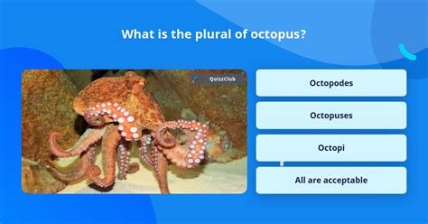What Is The Plural Of Octopus Trivia Questions Quizzclub