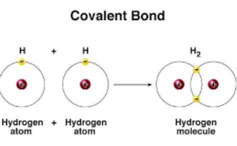 Covalent bonds, also called molecular bonds, only form between nonmetal atoms with identical or relatively close electronegativity value. What particle is made in a covalent bond? - Quora
