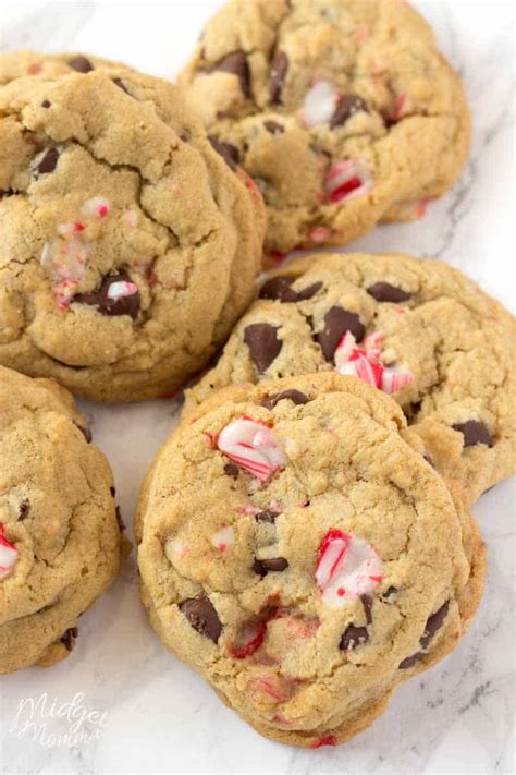 Ways How To Make The Best Peppermint Chocolate Chip Cookies You Ever Tasted How To Make