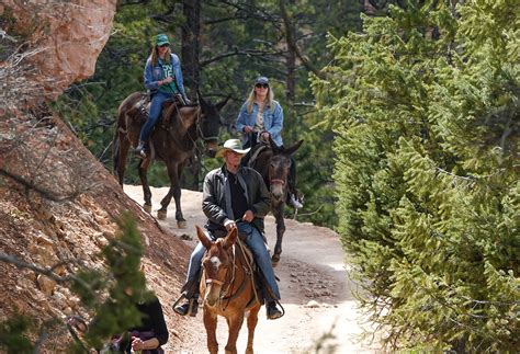 Bryce Canyon Announces Changes To Private Horse Ride Rules Bryce