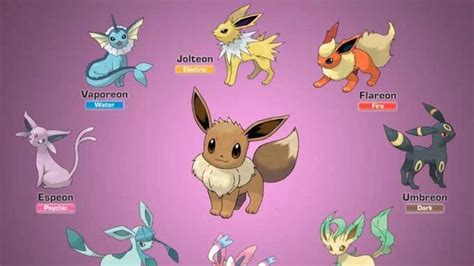 Pokémon Sword And Shield How To Catch And Evolve Eevee