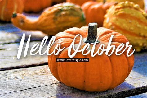 Orange Pumpkin Hello October Image Pictures Photos And Images For