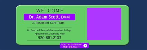 Rosemont Pet Clinic Tucson Arizona | A Tucson Pet Clinic Offering