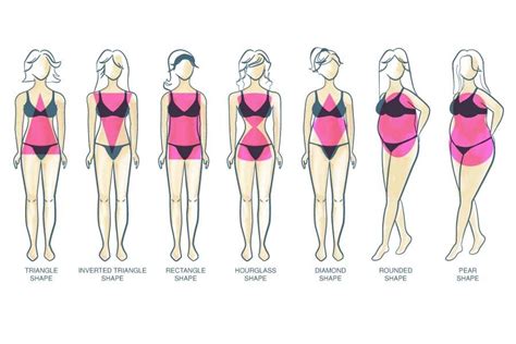 Female Body Shapes Chart