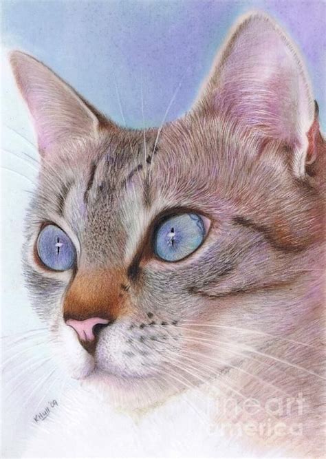 Pin On Colored Pencil Art And Ideas