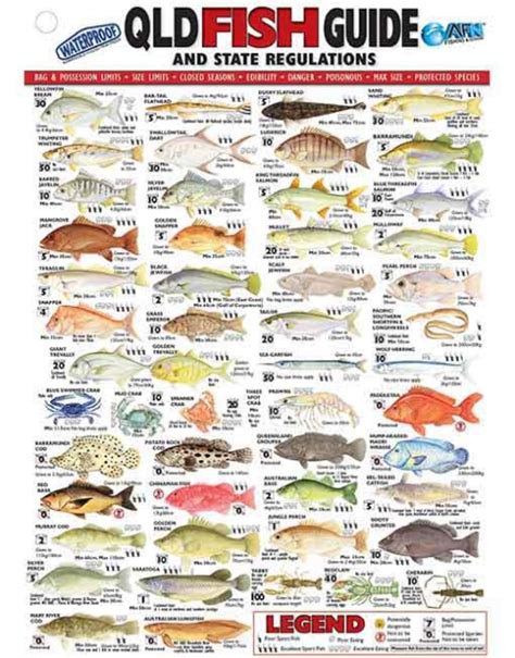 Afn Queensland Fish Id Card Qld Australian Fishing Network