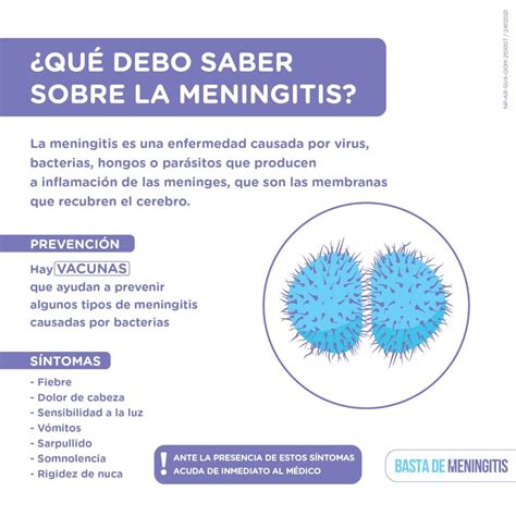 ¿qué Debo Saber Sobre La Meningitis Causa Síntomas Y Tipos