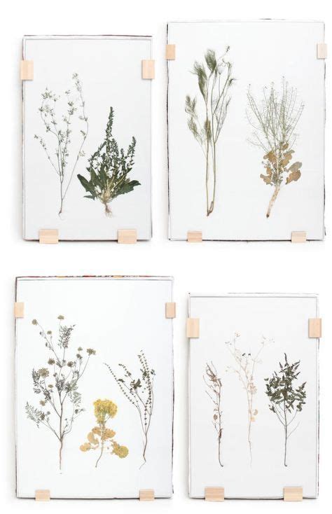 Check spelling or type a new query. pretty pressed flowers wall art DIY Inspiration | Handmade ...