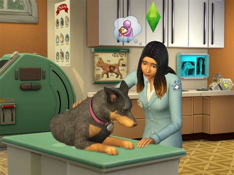 Sims Pet Stop Door